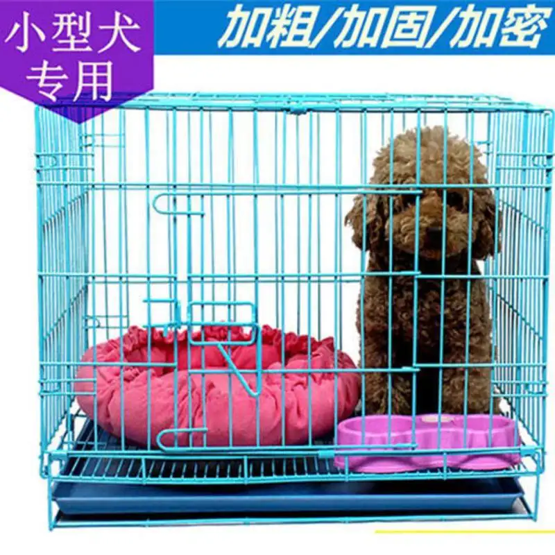 泰迪中型犬(泰迪中型犬有多重)