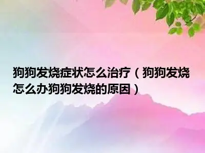 狗狗好像发烧了怎么办(狗狗好像有点发烧怎么办)