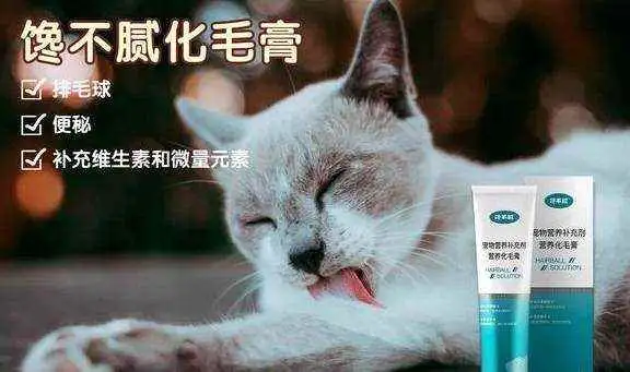 宠物猫便秘怎么办(宠物猫便秘怎么办吃什么药)