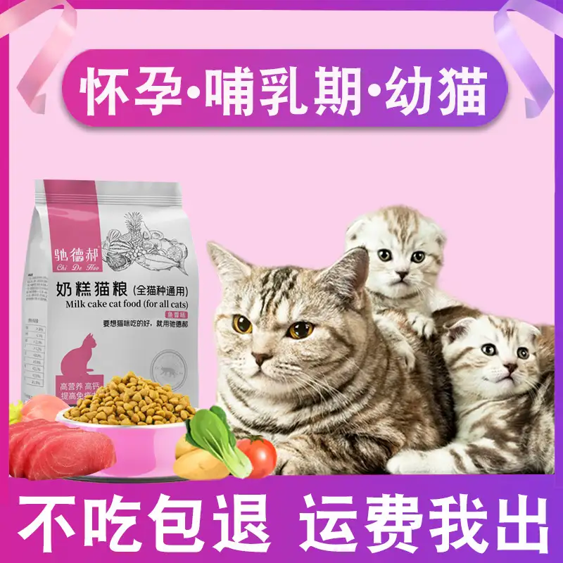 猫的受孕期多久(猫咪受孕后多久才会孕吐)