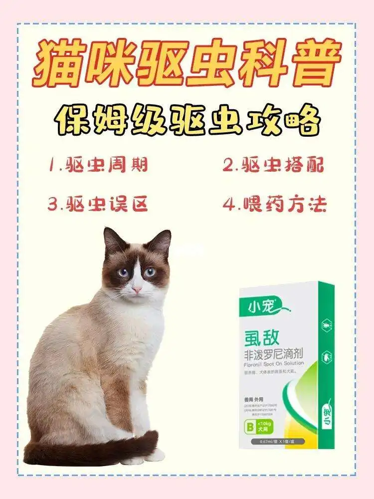 猫咪体内驱虫注意(猫体内驱虫注意事项要禁食多久)