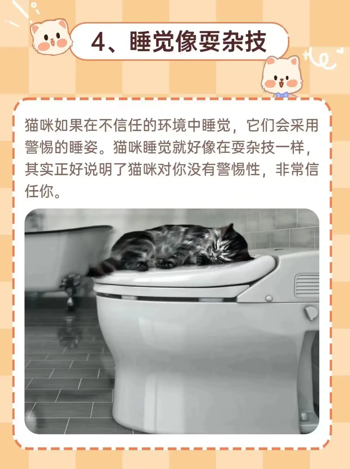 猫怕啥气味一闻就跑(猫怕啥气味一闻就跑出来)