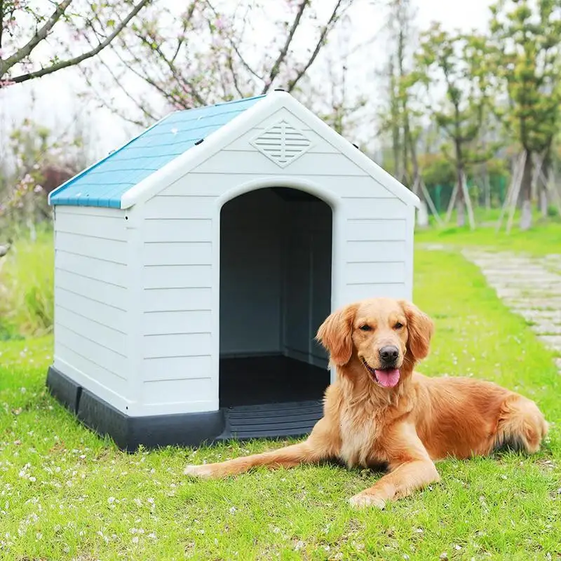 小型狗舍(小型犬舍设计图)