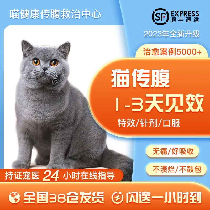 猫传腹干湿混合型(猫传腹干湿混合型特征)