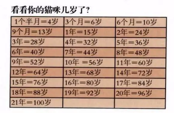 猫的平均寿命有多长(猫能活多久 猫的寿命是多少年)