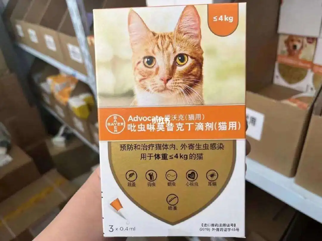 小猫吃什么打虫药效果好(小猫吃什么打虫药效果好呢)