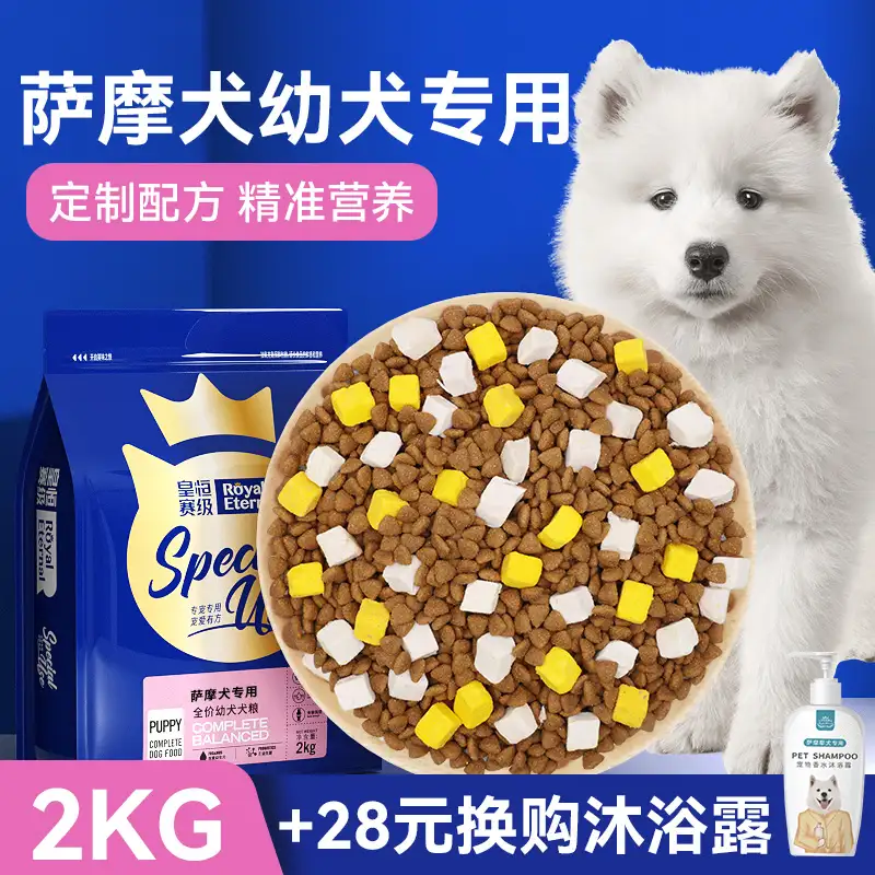 小型犬萨摩耶犬(小型萨摩耶犬多少钱一只)