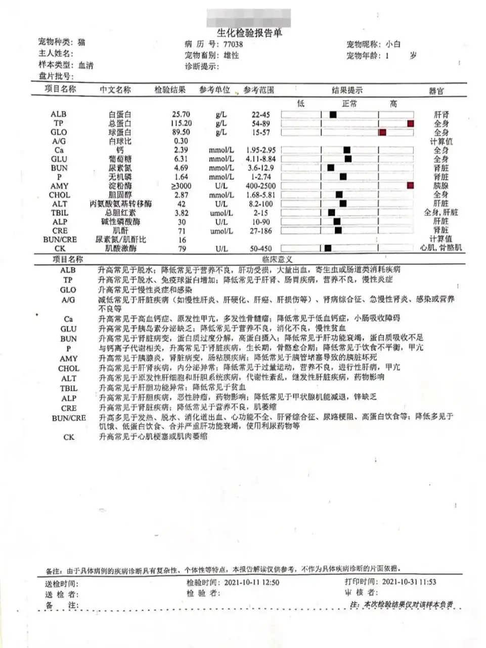 猫传腹简称(猫传腹是什么样的)