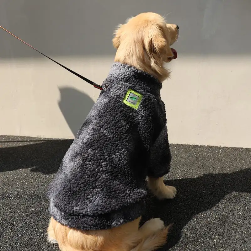 拉布拉多犬是大型犬还是中型犬(拉布拉多到底是中型犬还是大型犬)