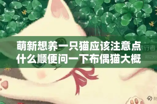 布偶猫大概价格多少钱一只(布偶猫价格多少钱一只白色的)