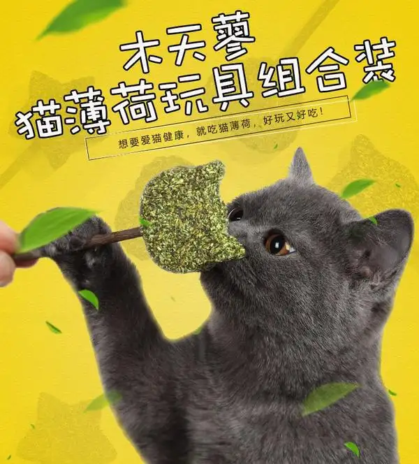 薄荷给猫怎么用(猫薄荷使用注意事项)