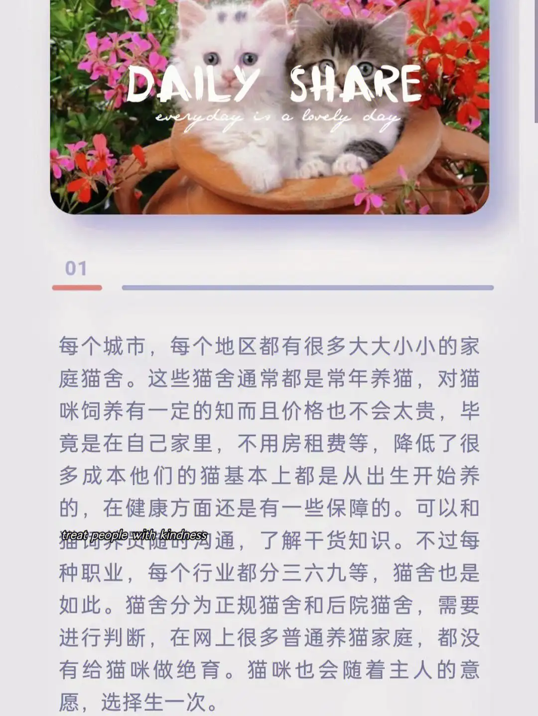 如何买布偶猫(如何买布偶猫便宜)