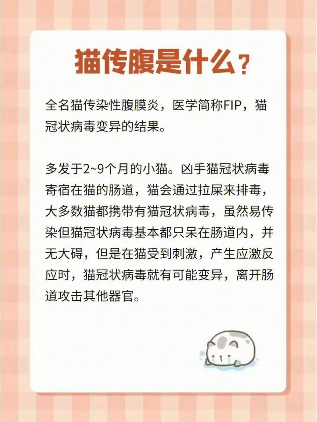 猫传腹传染人嘛(猫传腹传染吗?猫传腹会传染其他猫吗?)