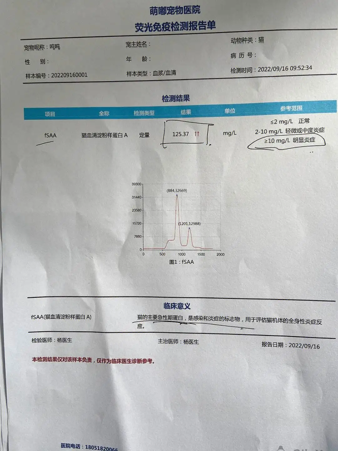 猫传腹的指标(猫传腹指标到多少合格)