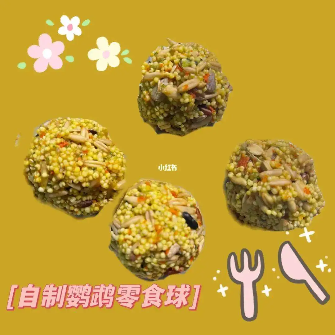 虎皮鹦鹉最爱吃什么零食(虎皮鹦鹉喜欢吃什么?怎么喂?怎么养?)