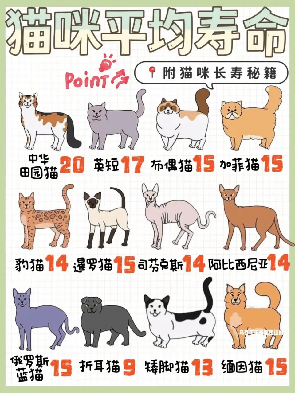 小猫的平均寿命(小猫的平均寿命是多少)