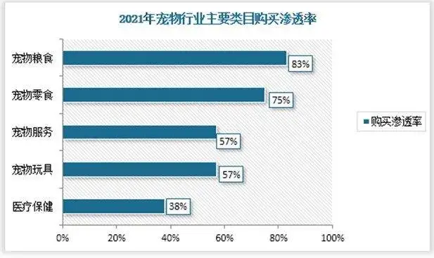 宠物市场的前景(宠物市场前景分析2025)