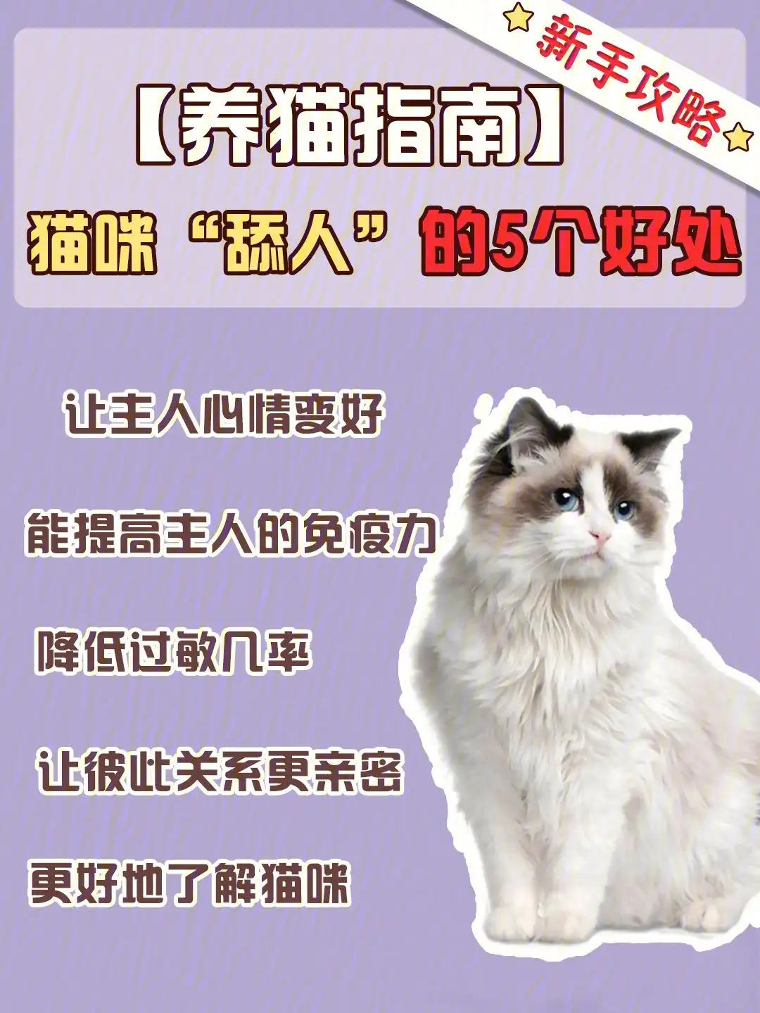 养宠物猫的好处(养宠物猫的好处与坏处)