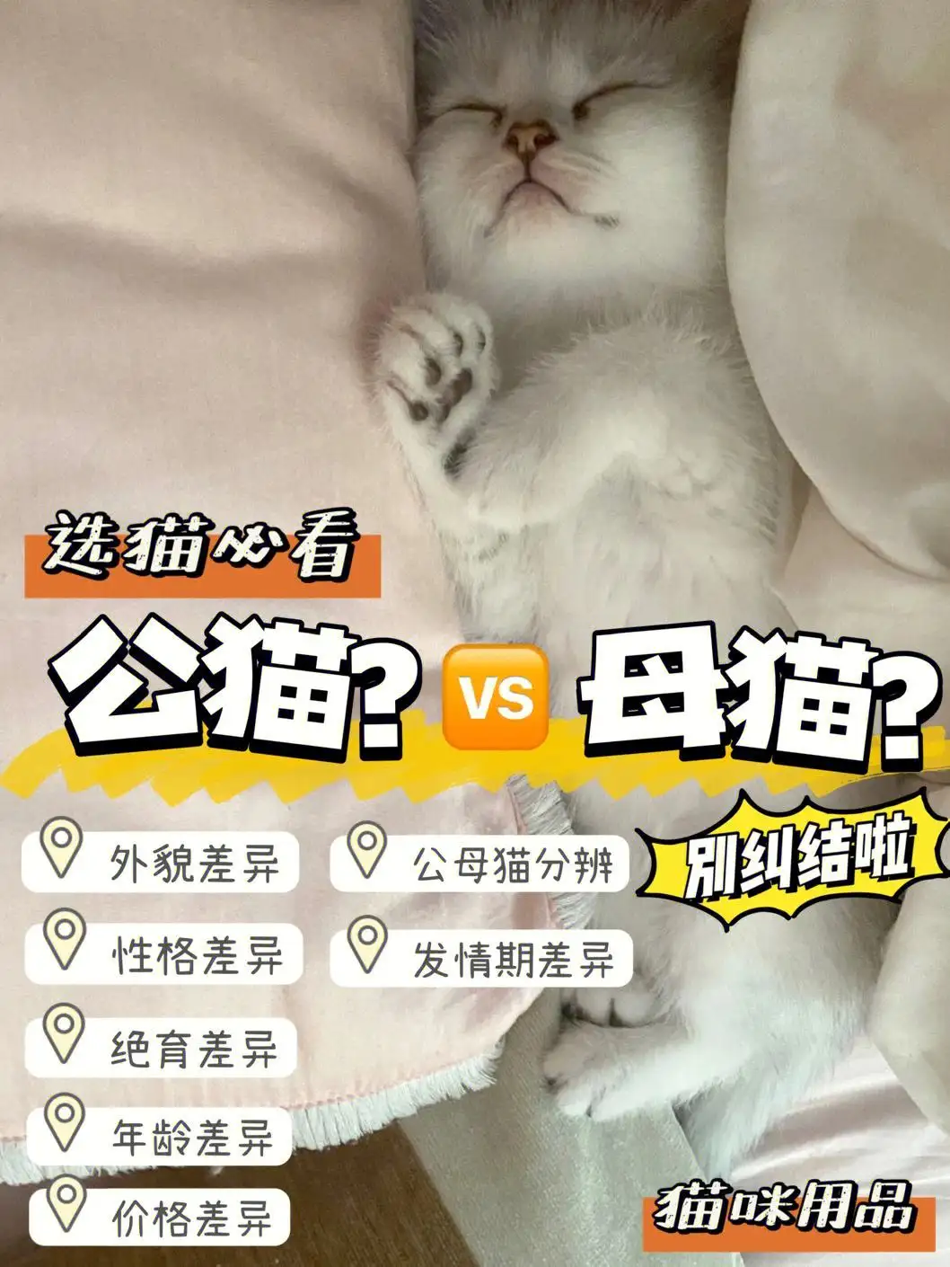 养猫养公猫母猫(养猫 公猫好还是母猫好)