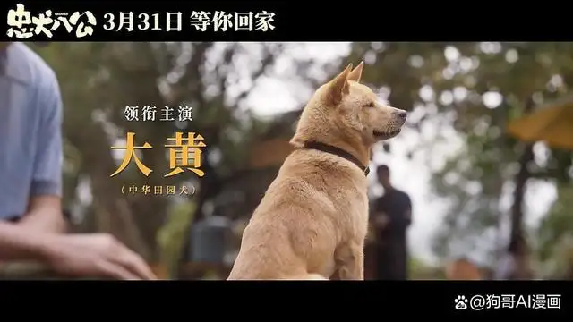 忠犬八公剧情详细介绍(忠犬八公剧情介绍冯小刚主演的忠犬八公是什么犬)