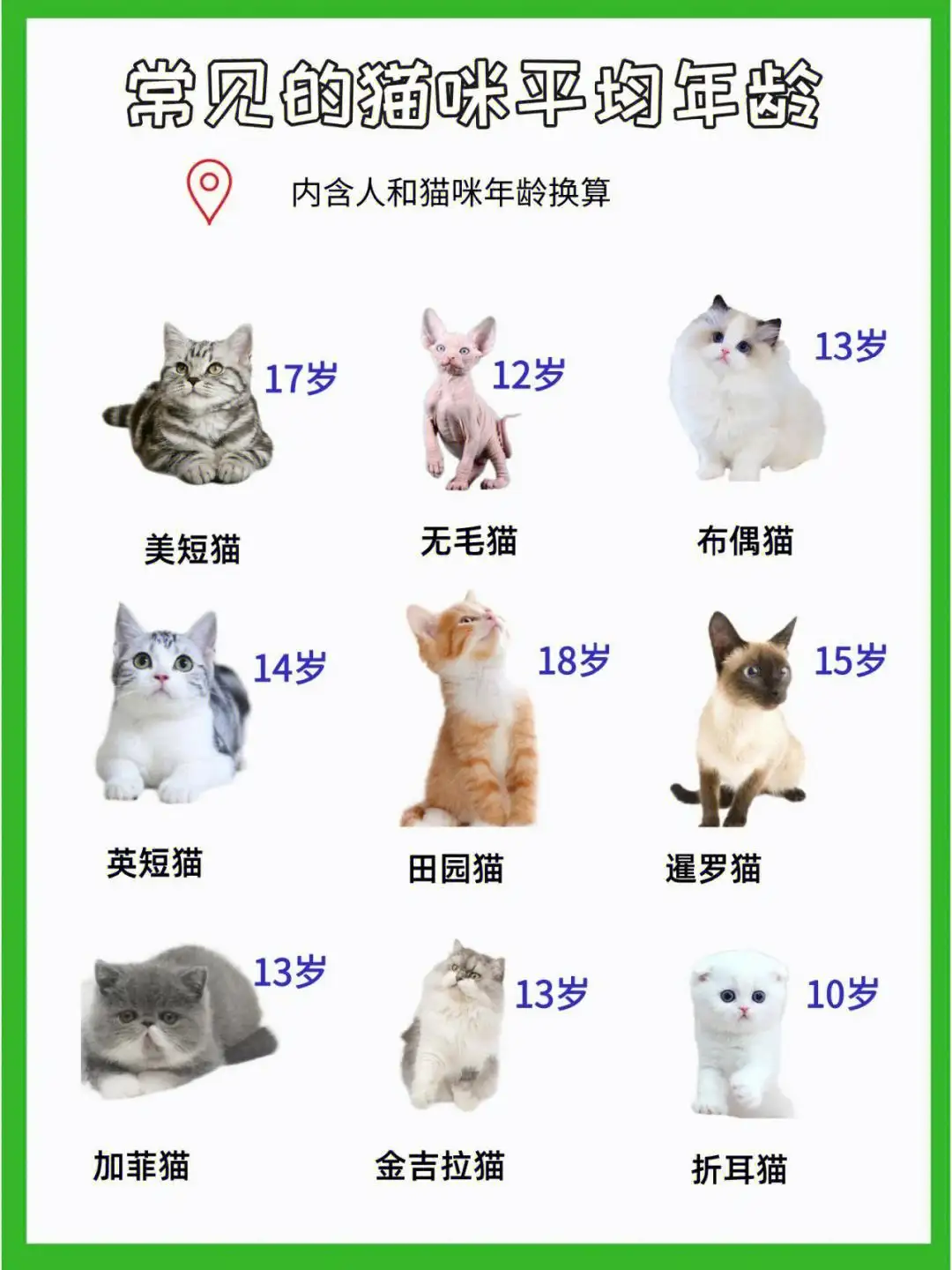 猫的普遍寿命(猫的寿命大约是多少)