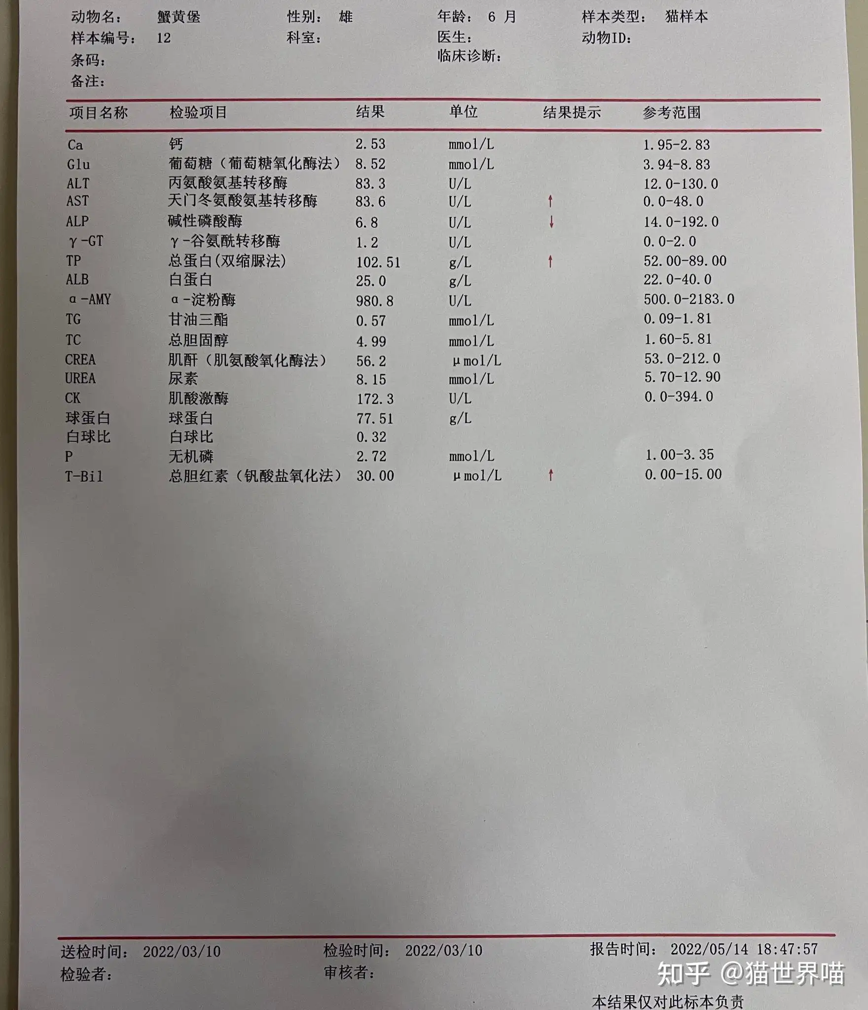 关于猫传腹441剂量不够会怎么样的信息