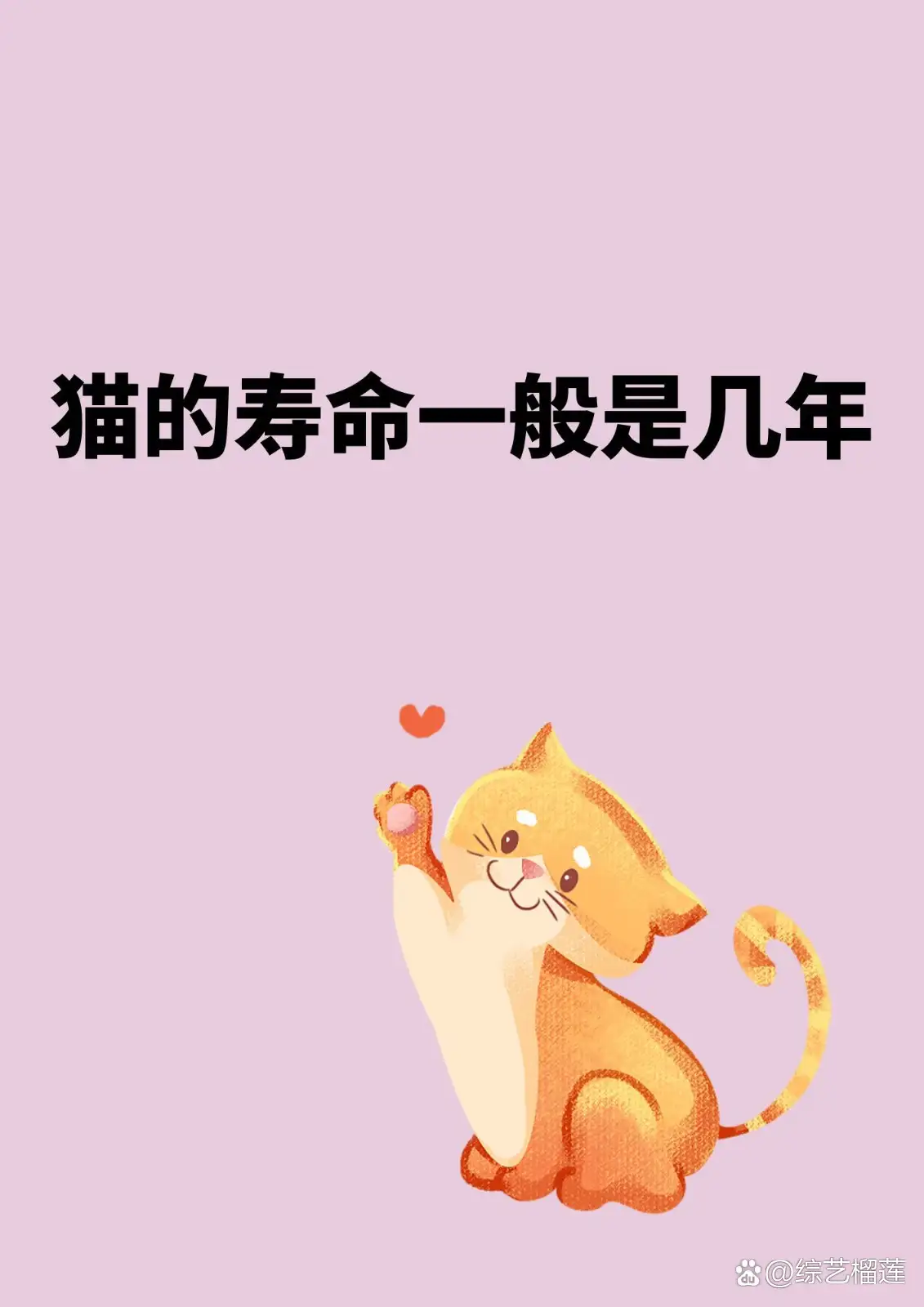 猫咪一般寿命在多少年(猫咪一般寿命在多少年内)