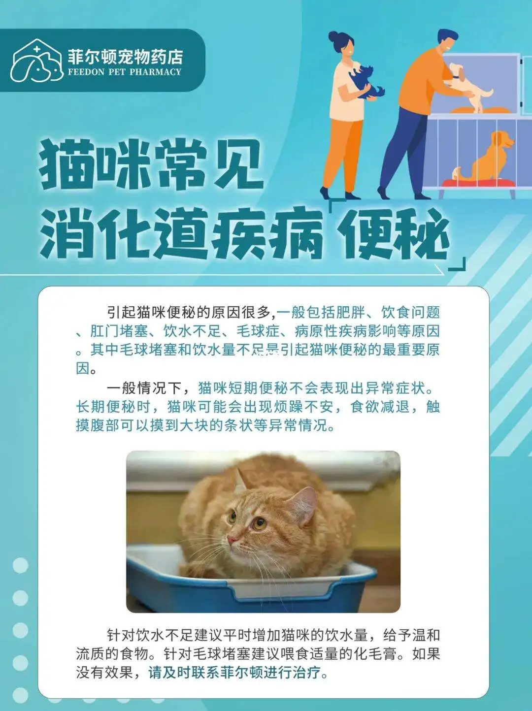 猫咪夏天便秘算正常吗(猫咪夏天便秘算正常吗怎么办)