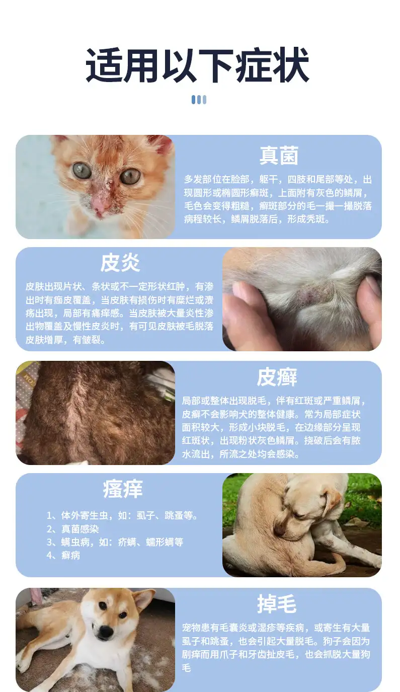 猫咪皮肤病种类(猫咪皮肤病有哪几种)