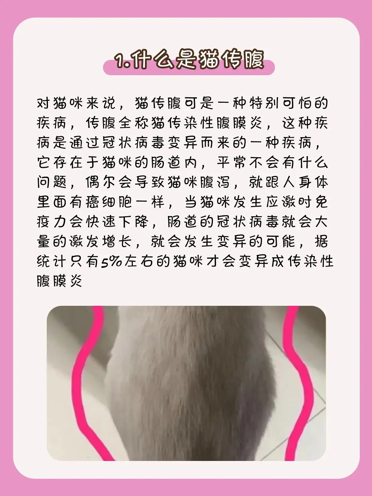 得了猫传腹(得了猫传腹小猫舌头一直吐出来什么意思)