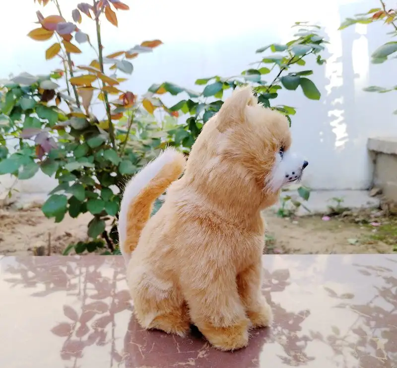 秋田犬摆件(秋田犬照片大全)