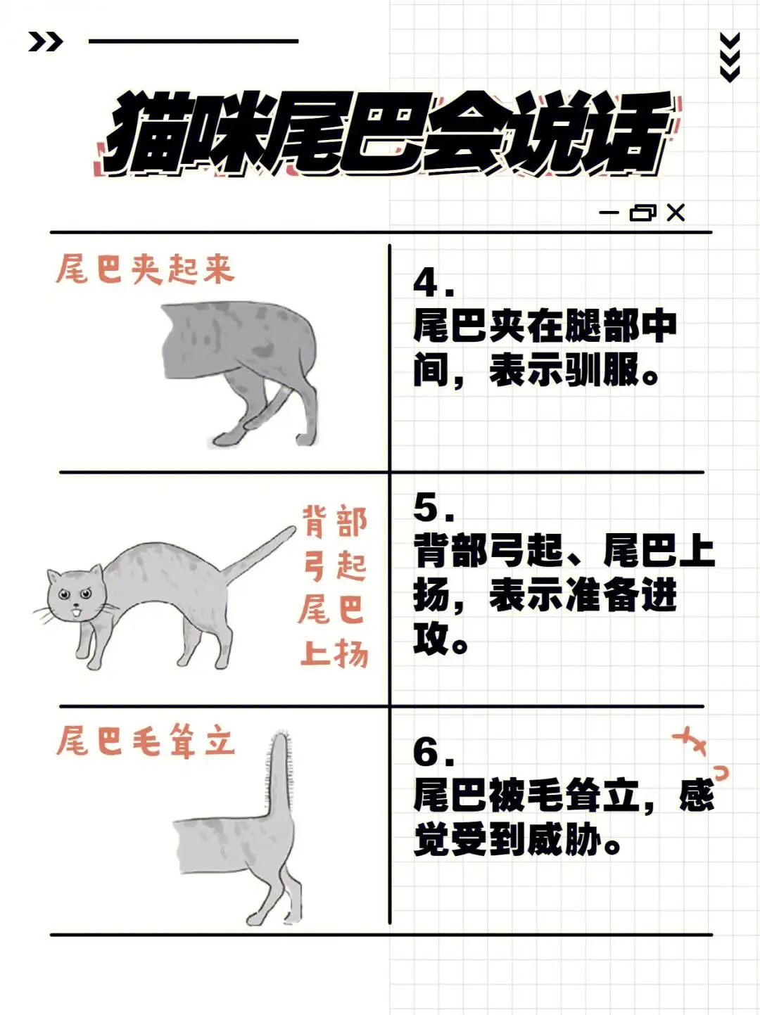 猫的尾巴有什么作用(猫的尾巴有什么作用呢)