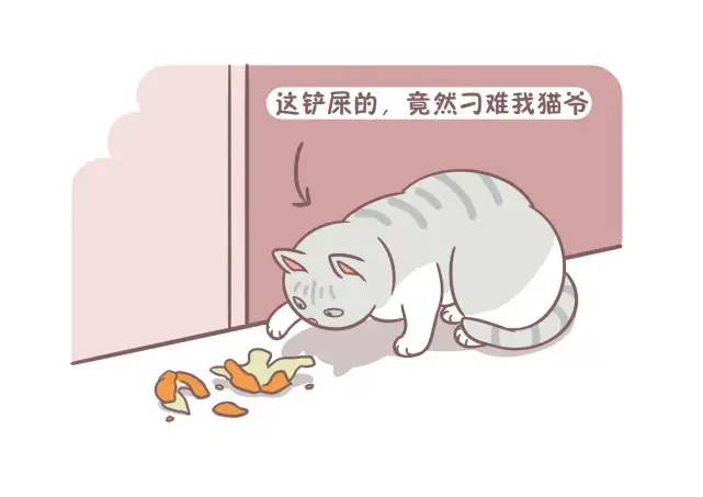 猫咪讨厌烟味吗(猫咪讨厌抽烟的人吗)