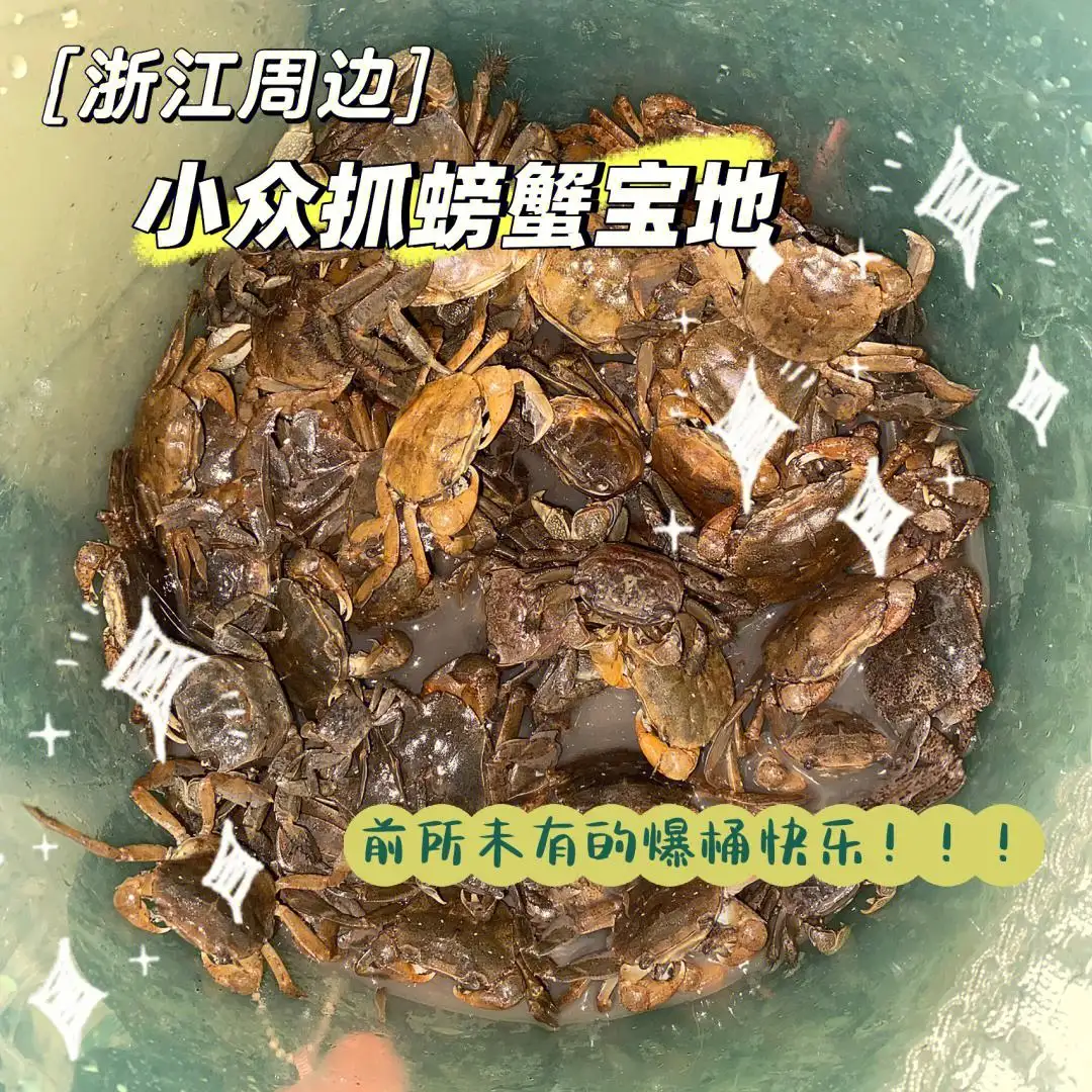 江里的螃蟹吃什么(螃蟹爱吃的10种食物)