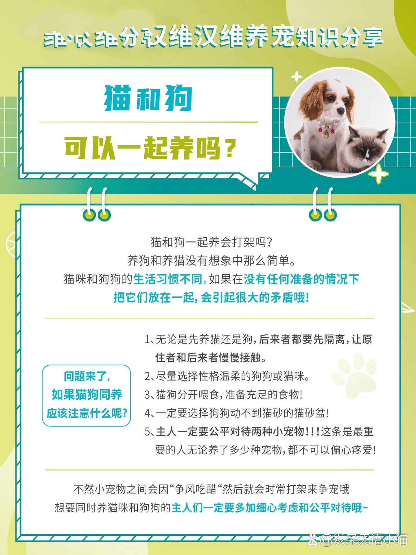 狗好养还是猫好养(养猫屋里臭还是养狗屋里臭)