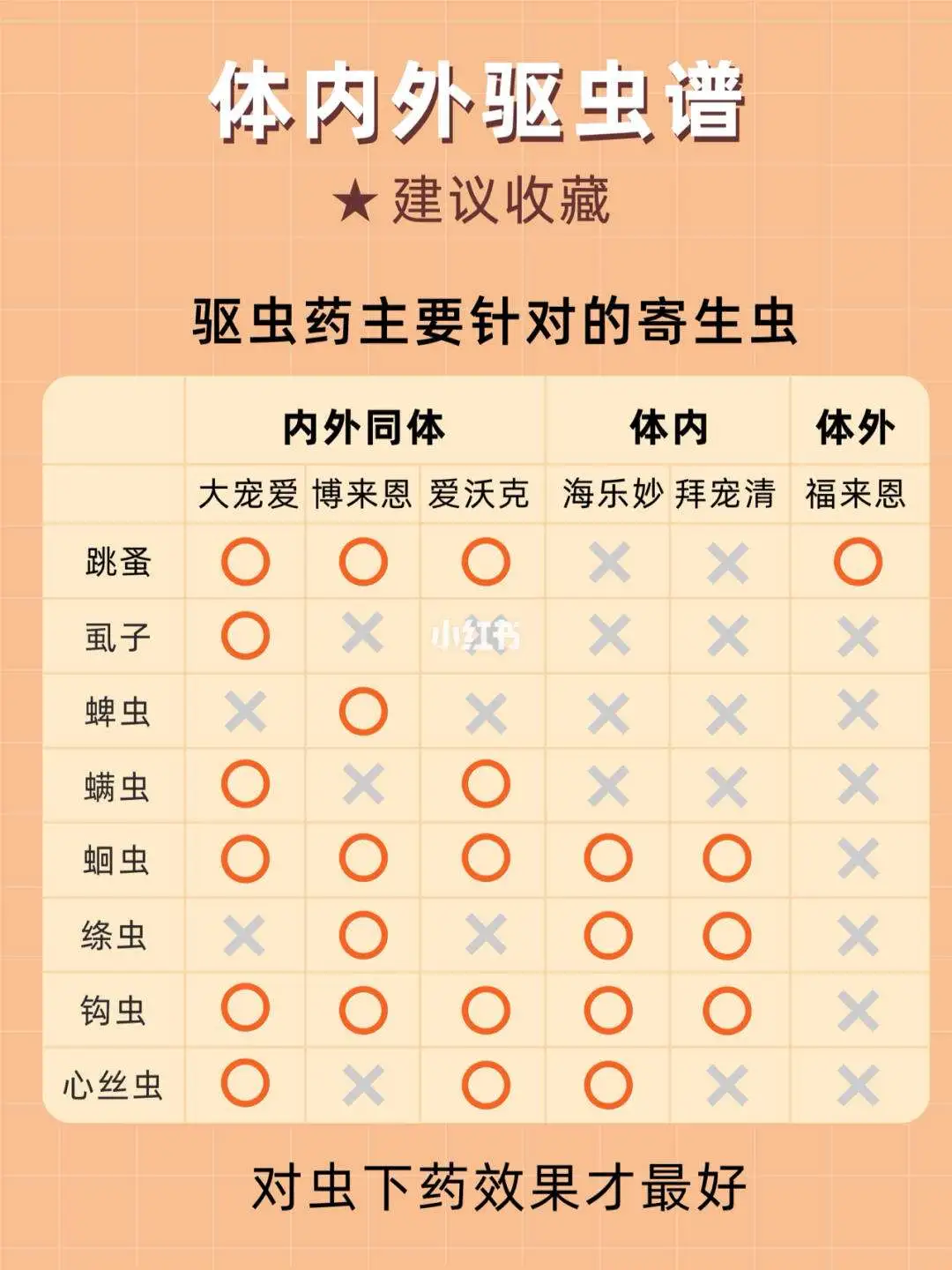 猫打虫药多少钱(猫打虫药多少钱一次)
