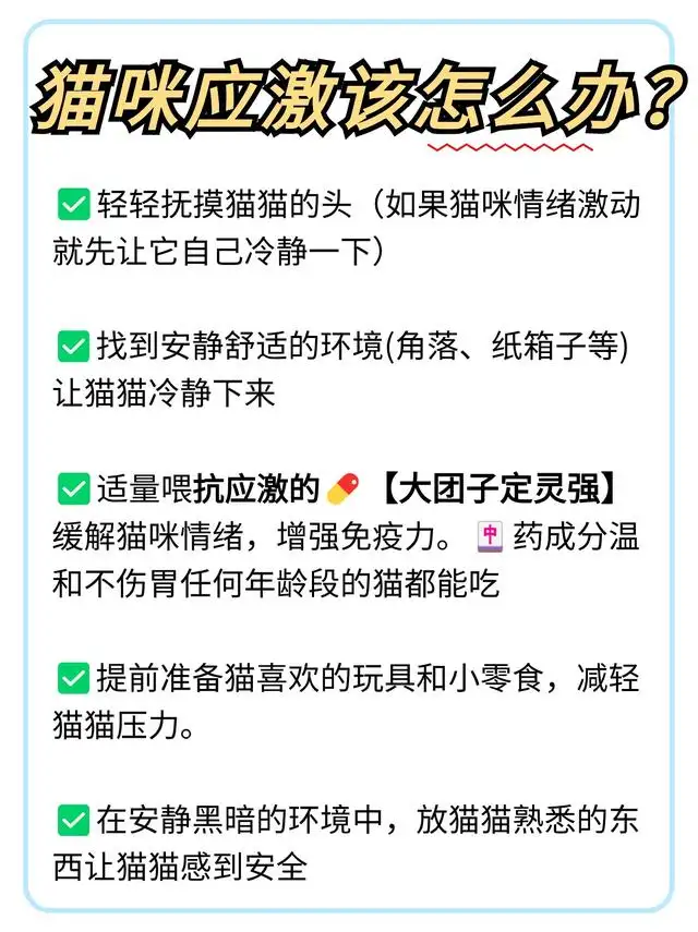 关于猫咪怎么才能不得猫传腹的信息