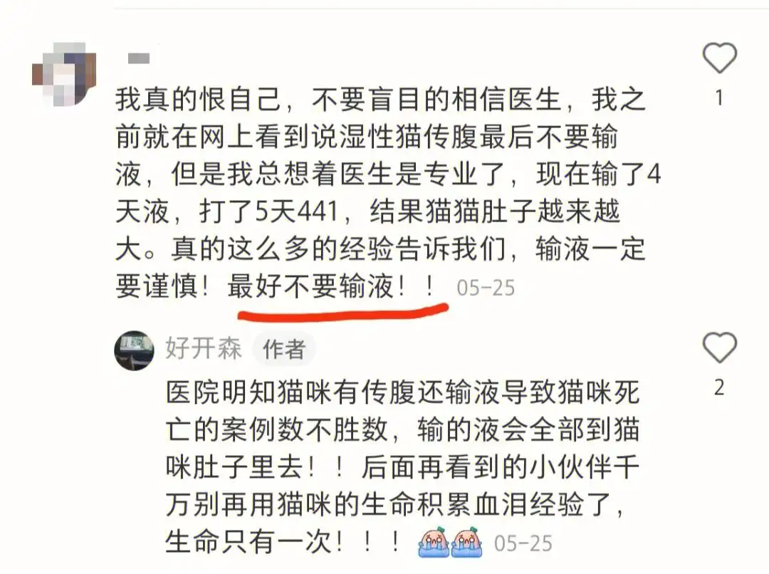 关于猫咪怎么才能不得猫传腹的信息