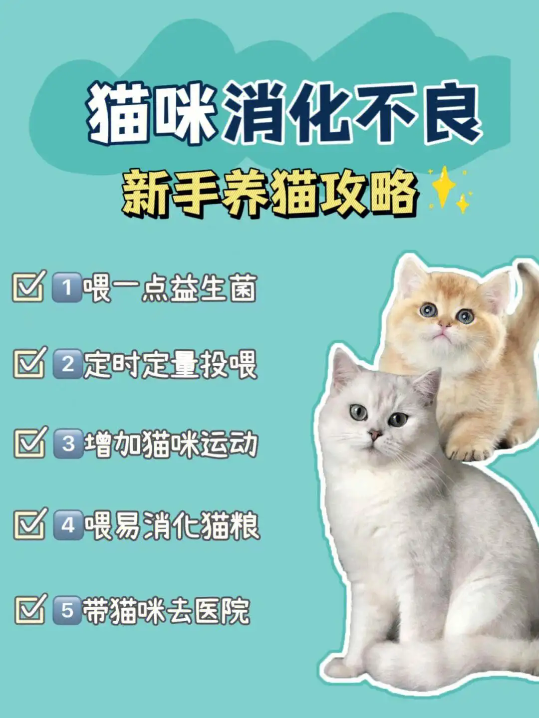 猫几天不拉屎算便秘(猫咪几天不拉屎是便秘)