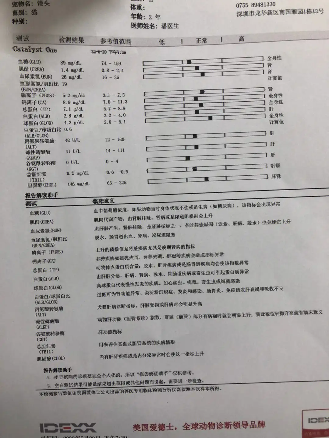 包含猫传腹白球比低于多少可能是传腹的词条