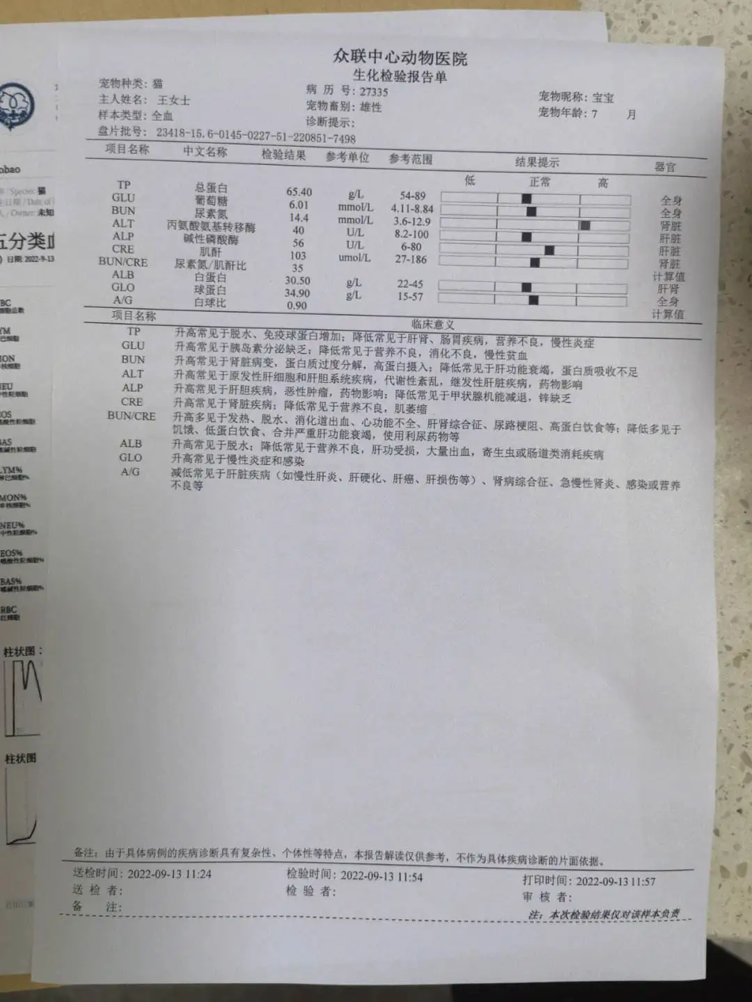 猫传腹治疗成功率(猫传腹治好大概多少钱)