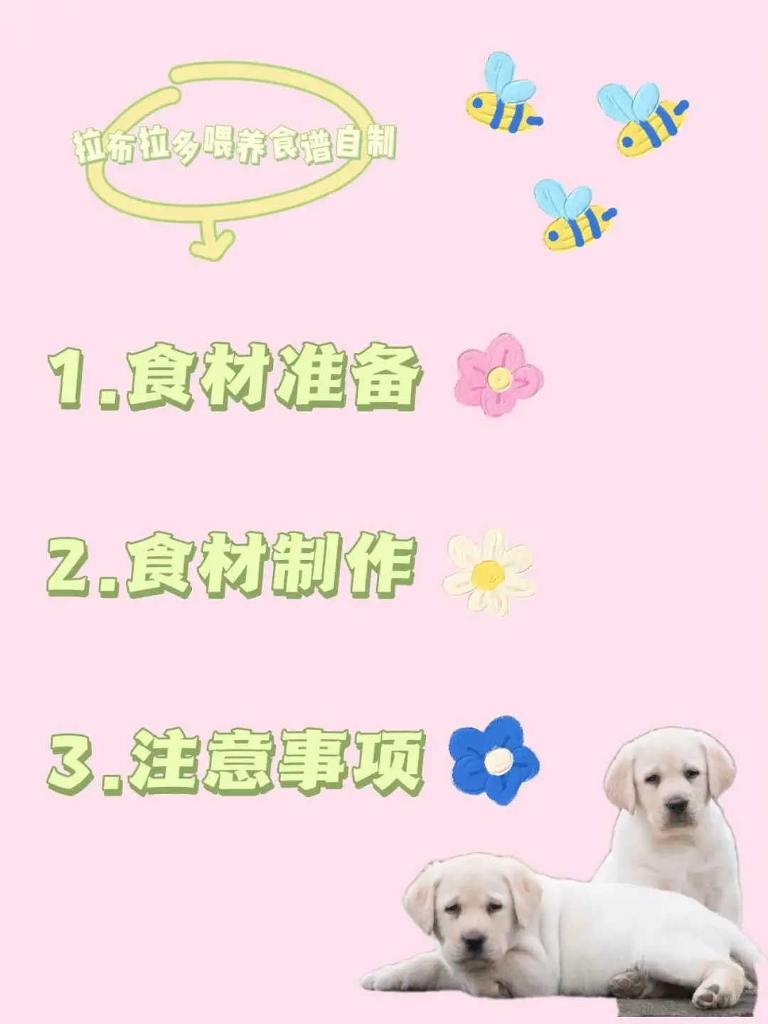 拉布拉多犬的喂养方法(拉布拉多犬的喂养方法视频)