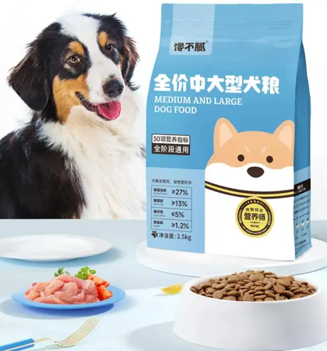 金毛哪种狗粮好(十大最听话的狗排名小型犬)