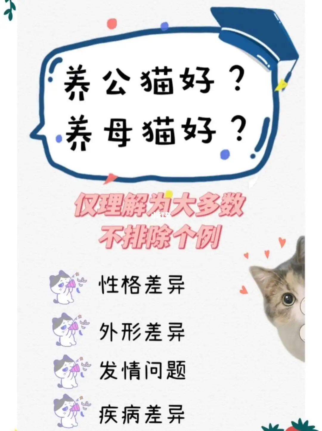 新手女生适合养公猫还是母猫(女生第一次养猫养公猫好还是母猫)