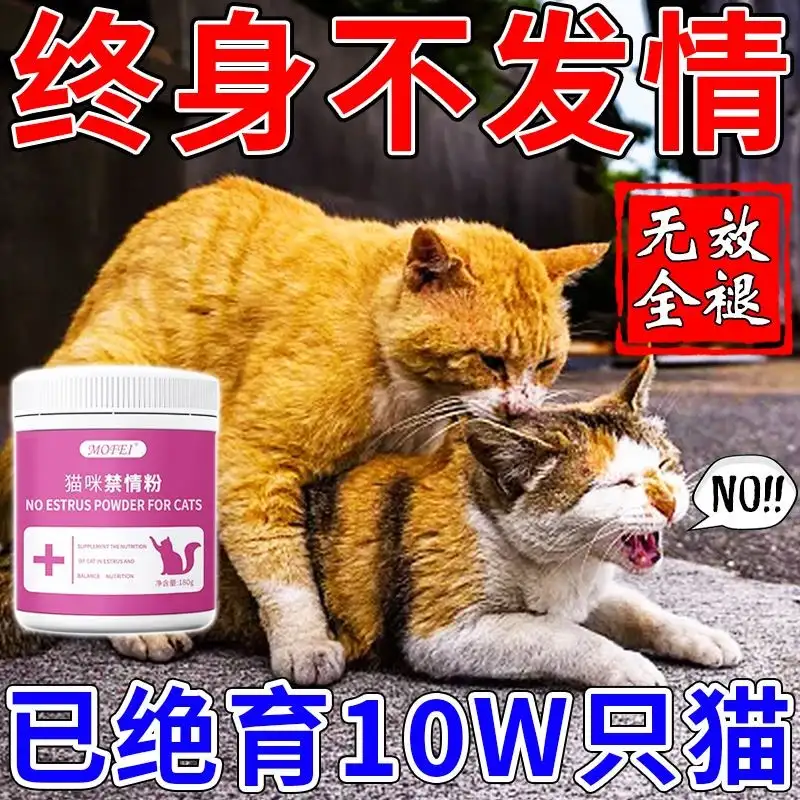 母猫怀孕公猫(母猫怀孕公猫还会配种吗)