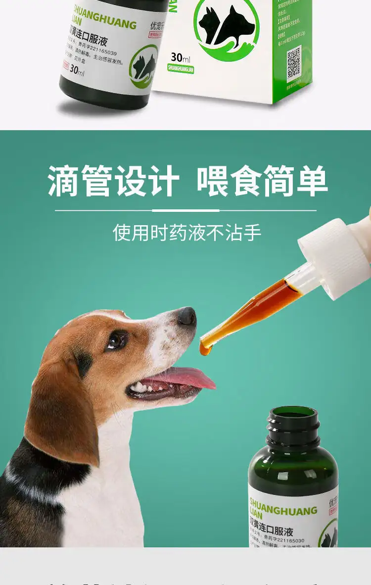 狗狗发烧用什么药好(狗狗发烧吃什么药?宠物用药需谨慎!)