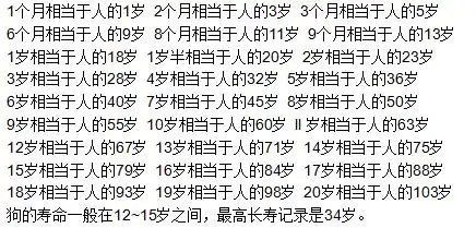 6个月狗相当于人几岁(六个月的狗相当于人类多少岁)