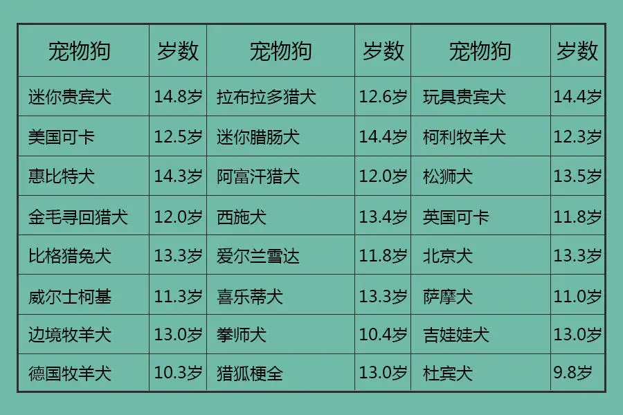 四年的狗狗相当于人的几岁(四年的狗狗相当于人的几岁了)