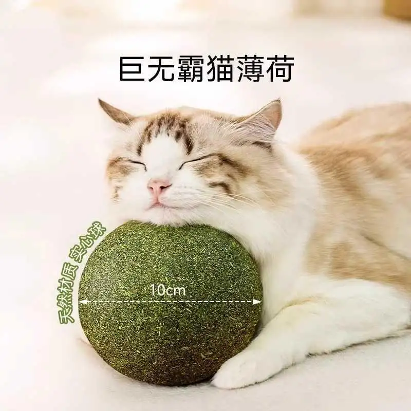 小猫猫薄荷(小猫猫薄荷饼干吃多了)