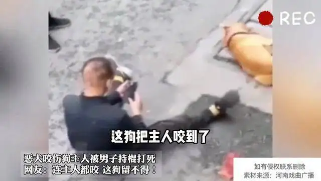 狗主人被自己养的比特犬咬死(狗主人被自己养的比特犬咬死了)